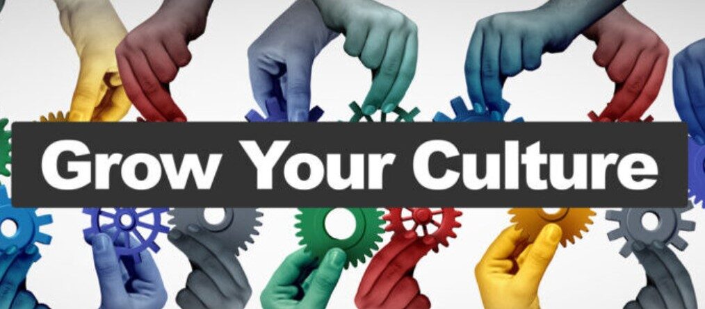 Insights Discovery Szkolenie